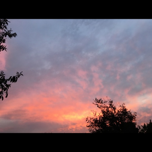 Meet your Posher, Jaslene - Picture 1 of 1